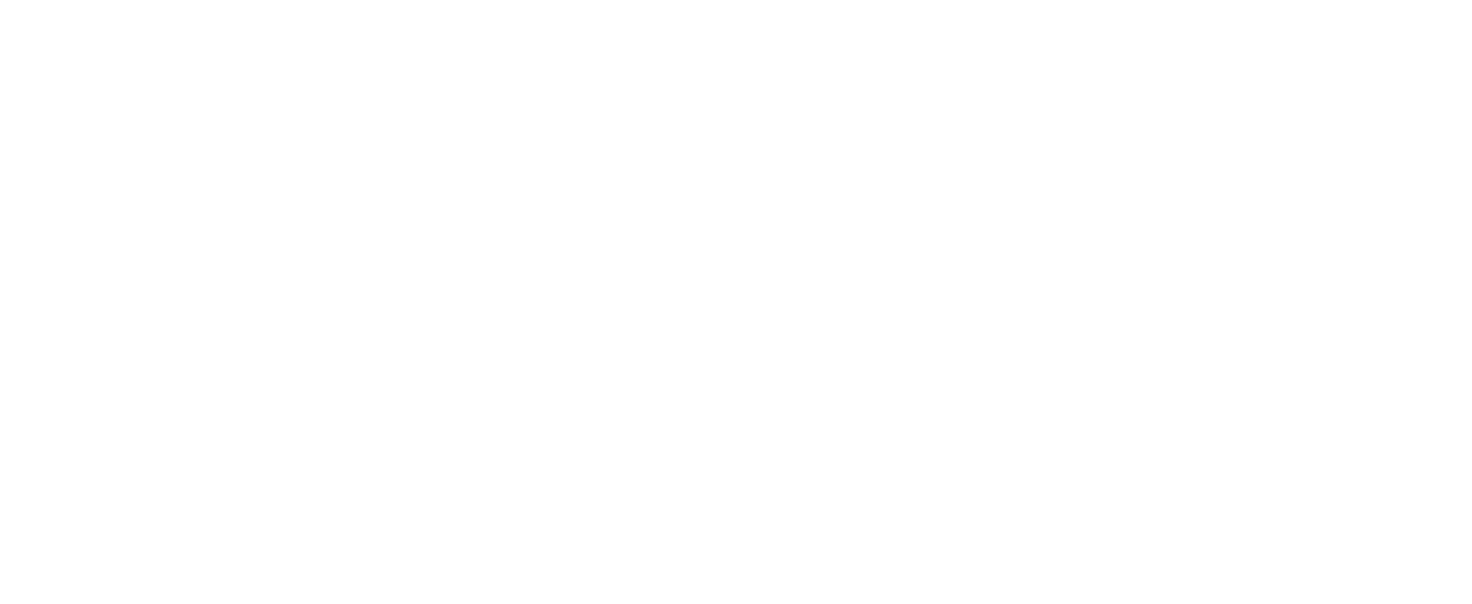 studio bellafiore leone rivoli torino